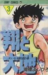 翔と大地　全巻（1-3巻セット・完結）高橋よしひろ【14日以内発送】