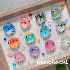 まんまる♡釣りたいお魚さん ❣️お魚図鑑　海の生き物達　アクアリウム　癒しアート　海インテリア　海ギフト　壁掛け　プレゼント
