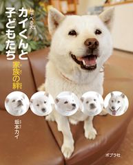カイくんと子どもたち家族の絆 しゃべる犬/ポプラ社/坂本カイ（単行本）
