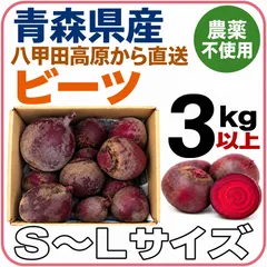 【青森県　南八甲田高原産⛰️】Ｓサイズ〜Lサイズ　甘いビーツ　3kg以上　 農薬不使用／有機肥料栽培 アウトレット
