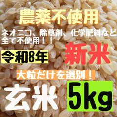 農薬不使用 さくらの米ぬか 2kg【新鮮パウダー】無化学肥料 - メルカリ