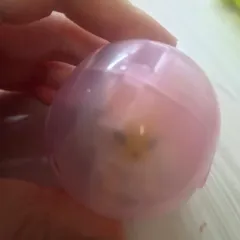 ポケットモンスター ヂュピサンダー ロング ガチャ めじるし