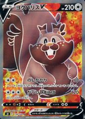 【中古】ポケモンカードゲーム 110/100[SR]：(キラ)ヨクバリスV