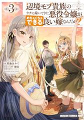 辺境モブ貴族のウチに嫁いできた悪役令嬢が、めちゃくちゃできる良い嫁なんだが? 3 (ドラゴンコミックスエイジ)／朝倉 は