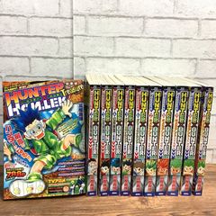10160 【全11巻完結セット】HUNTER×HUNTER ハンターハンター 総集編 Treasure 冨樫義博 集英社 全巻ブックカバー付き