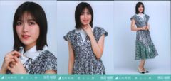 乃木坂46 WebShop限定 柴田柚菜 乃木コレ 落とし物 Nコンプ