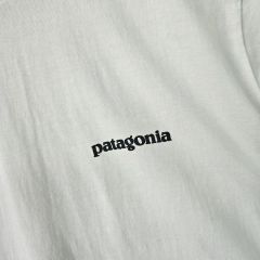 パタゴニア 半袖T