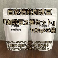 【自家焙煎珈琲豆】お好きなコーヒー豆2種　100g×2袋