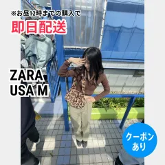 ZARA ザラ シャツ/ブラウス USA M ブラウン 無地 ショート丈 長袖 オープンカラー レディース
