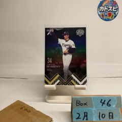 2023 EPOCH 星野伸之 阪神タイガース OB Club Career Achievements