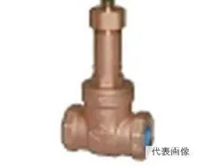 東洋バルヴ コアゲートV LJ5-BSR-SK-N LJ5-BSR-SK-N15 送料無料