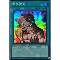 状態難/PSA10鑑定済〕ブラックフェザードラゴン【プリズマティック