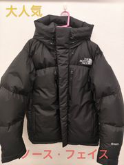 【美品】 ノースフェイス バルトロライトジャケット L 黒 ND92551