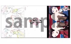 【中古】クリアファイル 大和守安定＆加州清光 セル画＆原画見比べA4クリアファイル 「刀剣乱舞-花丸-」