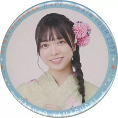 【中古】バッジ・ピンズ 山口陽世(日向坂46) Happy Train Tour 2023 ランダム缶バッジ 「Happy Train Tour 2023」