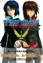機動戦士ガンダムSEED&SEED DESTINY ピンナップコレクション
