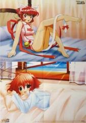 【中古】ポスター（アニメ） B3両面ポスター(四つ折) ちゅ～かな雀士てんほー牌娘/ぴゅあぴゅあ 耳としっぽのものがたり ドリマガ2005年2月号特別付録