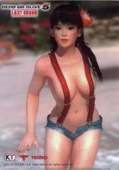 【中古】クリアファイル こころ A4クリアファイル 「PS4/PS3/Xbox360ソフト DEAD OR ALIVE 5 Last Round」 GAMECITY購入特典