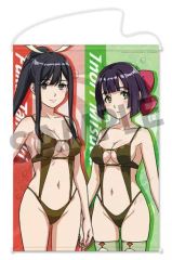 【中古】タペストリー 楓花＆いのり B2タペストリー 「神田川JET GIRLS」