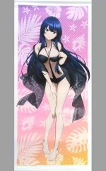 【中古】タペストリー ティア 描き下ろし特大タペストリー 「スパイ教室×ドン・キホーテ 第2弾」