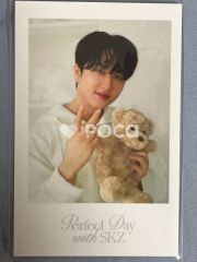 straykids チャンビン スキズ Stray Kids 2024 SEASON'S GREETINGS - Perfect Day with SKZ