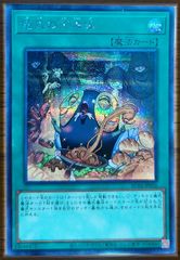 ぜんなのついなぎひめ アジア版 PSE プリズマティックシークレットレア