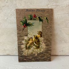 ドイツ アンティークポストカード Bonne Année 小鳥 ヒイラギ 赤い実 クリスマス エンボス加工 冬の絵葉書 フランス 蚤の市 ブロカント