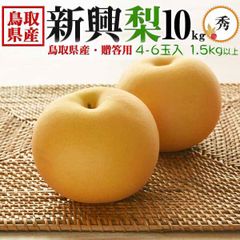 鳥取県産 梨 新興梨 秀品 4～6玉入 1.5kg以上 化粧箱 贈答用 秋のギフト お歳暮 鳥取のナシ 