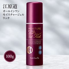 江原道 オールインワン モイスチャージェル リッチ 100g 本体 保湿