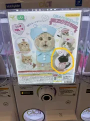 ガチャ 猫服 ぬいぐるみ