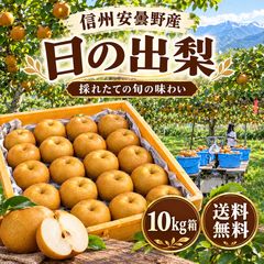 サンセーキ梨（21世紀梨） 10kg 中玉 - メルカリ