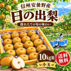 信州安曇野産 サンセーキ梨（21世紀梨）【小玉】10kg箱 - メルカリ