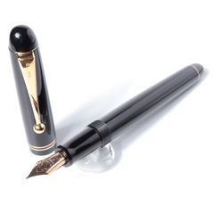 パイロット レガンス89s 廃盤 万年筆 14金 F 細字 両用式 マーブル
