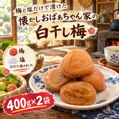 紀州南高梅　無添加　白干し　400g×２