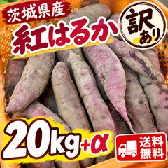訳あり 紅はるか さつまいも 20kg 茨城県産 新品 - メルカリ
