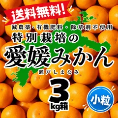 特別栽培の小粒温州みかん　3kg箱【減農薬の特別栽培基準/愛媛県の農家直送/全国追加送料なし】2026/10/22｜在庫あり