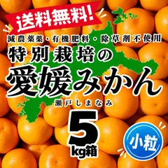 特別栽培の小粒温州みかん　5kg箱【減農薬の特別栽培基準/愛媛県の農家直送/全国追加送料なし】2026/10/22 セール
