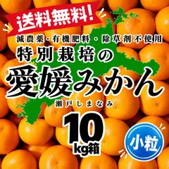 【即納】特別栽培の小粒温州みかん　10kg箱【減農薬の特別栽培基準/愛媛県の農家直送/全国追加送料なし】2026/10/22