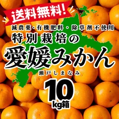 中古 特別栽培の温州みかん　10kg箱【減農薬の特別栽培基準/愛媛県の農家直送/全国追加送料なし】2026/10/22 即納