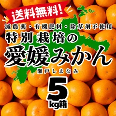 【激安】特別栽培の温州みかん　5kg箱【減農薬の特別栽培基準/愛媛県の農家直送/全国追加送料なし】2026/10/22