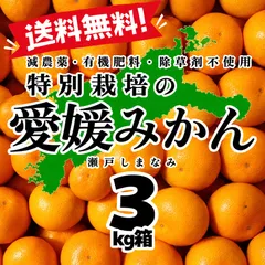 【激安】特別栽培の温州みかん　3kg箱【減農薬の特別栽培基準/愛媛県の農家直送/全国追加送料なし】2026/10/22