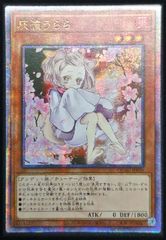 マルチャミー・プルリア アジア版 PSE プリズマティックシークレット