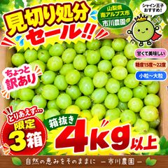見切り処分セール！！シャインマスカット粒 箱抜き4kg以上 ちょっと訳あり