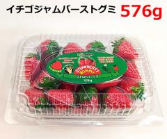 ブーツ型 クリスマス デコレーション 8曲入り サンタブーツ