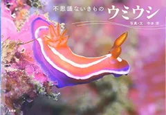 ウミウシ—不思議ないきもの