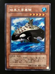 遊戯王OCG 暗黒大要塞鯱 レア 307-029