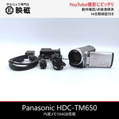 Panasonic パナソニック HDC-TM650 内蔵メモリ64GB フルハイビジョン対応デジタルビデオカメラ 整備済み 光学ズーム 手ブレ補正 動作確認済み