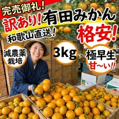 ▽人気 有田みかん 極早生 ゆら早生 3㎏ ミカン 減農薬 産地直送 和歌山 送料無料