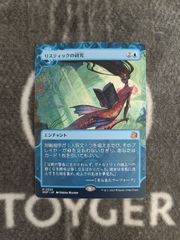 MTG 知りたがりの学徒、タミヨウ 日本語版 1枚 - メルカリ