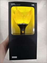 百寿亀 金竜亀 細工 工芸品 美術品 置物 CZW728P832 - メルカリ